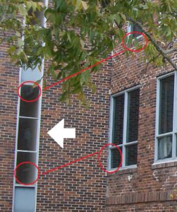 Unedited photo, but with overlay indicators to demonstrate window reflection alignment. Looking at the three panes on the left of the photo, notice there are three seemingly reflected lighter spots, one in each pane, two of which (top and bottom panes) are obviously reflecting the adjacent window frames. The middle frame contains an adjacent window frame reflection...and something else.